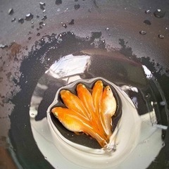 【OPGメダカ】針子(5mm程度)稚魚(10mm程度)　ご気軽に相談どうぞ!!の画像