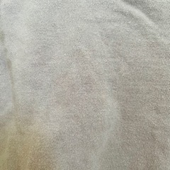 90.プティマイン　トレーナーの画像