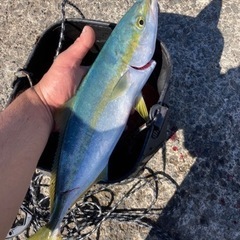 カゴ釣り仲間募集します😊 - 友達