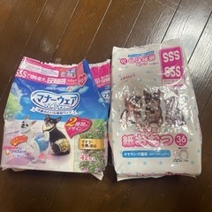 【決定】犬用オムツ　SSSサイズの画像