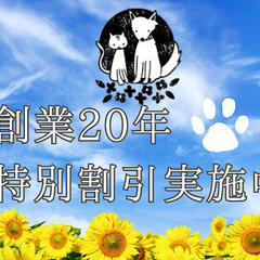 創業20年特別割引実施中【地域最安値】