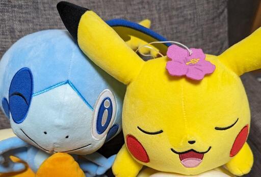 ポケモン2点セット