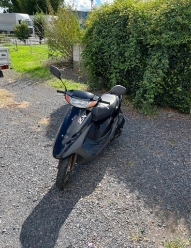 629. 動画あり　ホンダ　ライブディオZX仕様　原付　バイク　50cc   車体　埼玉