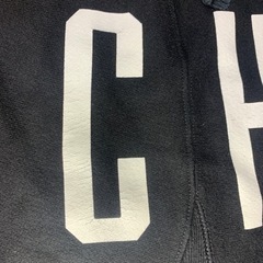 Championチャンピオンパーカー日本未販売海外企画の画像