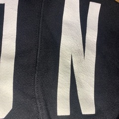 Championチャンピオンパーカー日本未販売海外企画の画像