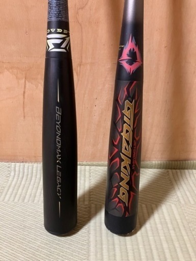 ビョンドマックス2本セットケース付き