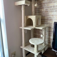 キャットタワー