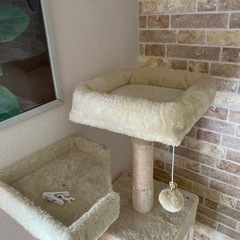 キャットタワーの画像