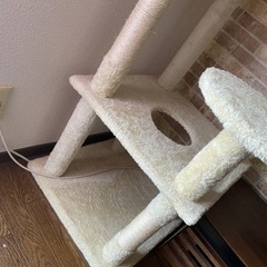 キャットタワーの画像