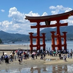 友達募集です！ - 友達