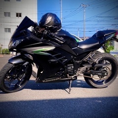 ニンジャ250 カスタムの画像