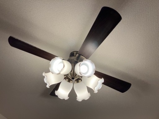 [商談中]コイズミ　LEDシーリングファン 電球色　中古品