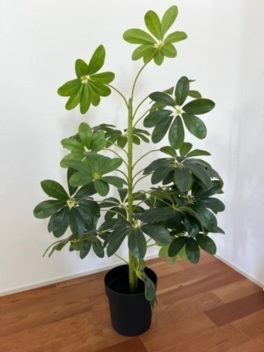 人工観葉植物　フェイクグリーン