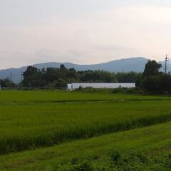 【成約済御礼】【激安】滋賀県 高島市安曇川町【仲介手数料なし】 - 土地販売/土地売買