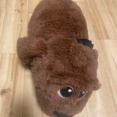 無料✨PeTs.✨大きめ✨ぬいぐるみ✨の画像