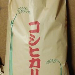 令和５年産  コシヒカリ  白米 30kg　