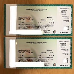 9/5　宝塚歌劇雪組全国ツアー宇都宮　昼公演チケット2枚