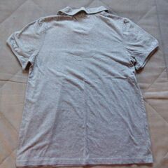 襟つきTシャツの画像