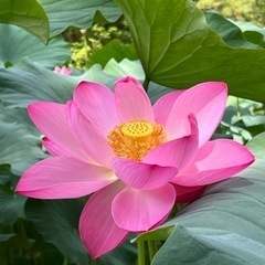 50代・60代、前向きな方、人生の先輩的な友達が欲しい方など😊