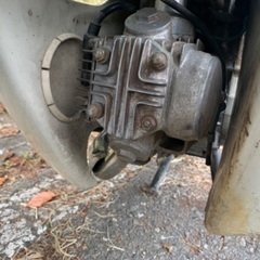 Supercup 110cc の画像