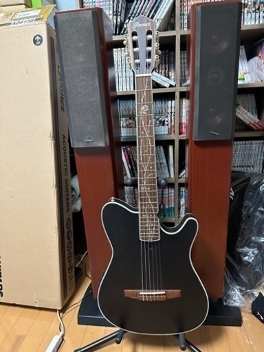 Ibanez TOD10N TKF