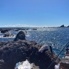 西伊豆、東伊豆にて磯釣りを行っています