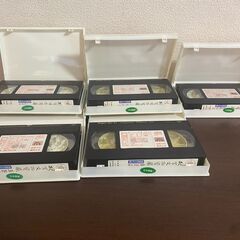 故宮文化財 故宮文物寳藏 日本語版 家用 ビデオ ＃37139-2-2の画像