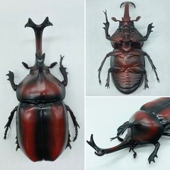 中古■おもちゃのカブトムシ＆クワガタ■フィギュア■の画像