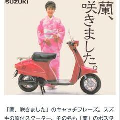 スズキ　蘭の画像
