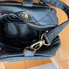 BIODROGA キルティングミニバッグの画像