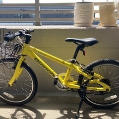 Bianchi EAGLE kids 20インチ