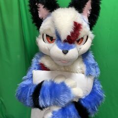 着ぐるみや仮装で子供たちを笑顔にするボランティア活動を一緒にしてくれませんか？ - メンバー募集