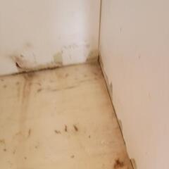 米　保管庫の画像