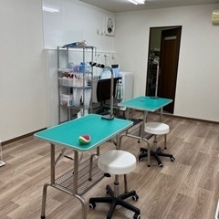 葛飾区立石にてトリマー募集！の画像