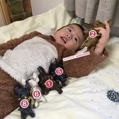 ワンちゃんぬいぐるみ 耐摩擦加工PU素材 コットン入り バッグチャームの画像