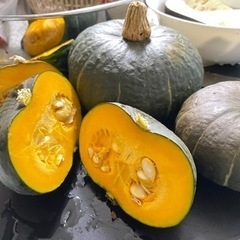 園芸セット　鉢、プランター、支柱の画像