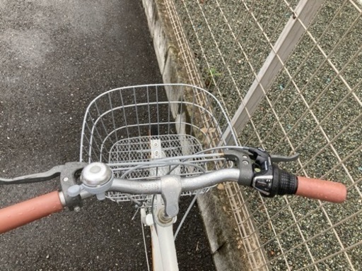 Giulianoジュニア変速自転車