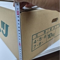 半額以下キャベツダンボール新品2000枚　の画像