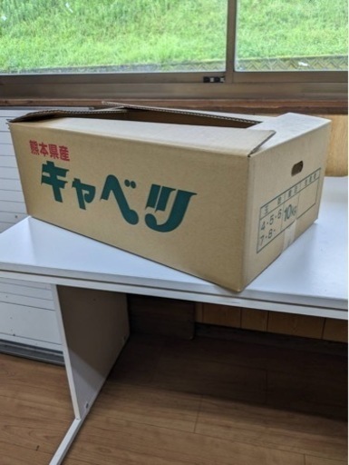 半額以下キャベツダンボール新品2000枚　