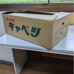 半額以下キャベツダンボール新品2000枚　の画像
