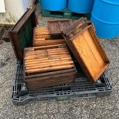 養蜂木枠
