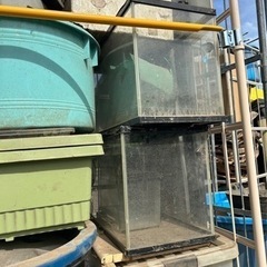 60cm水槽4