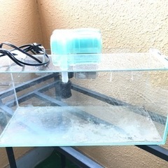 水槽のみ