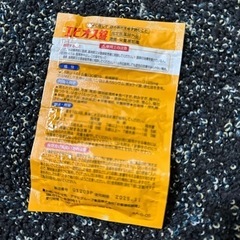 エビオス錠の画像