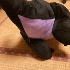 ぬいぐるみの画像