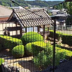心を満たし、力みなぎる体を♪9月もヨガで自分を大切にしましょう。