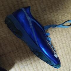 トレシュー　21.0 MIZUNO　値下げ！の画像