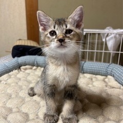 マイペースな可愛い男の子
