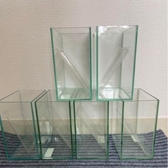 水作 ベタコレクションケース M サイズ☆中古 1つ600円