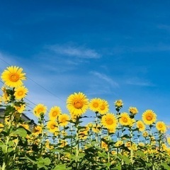 ※最終！　9/27.28のHCR国際福祉機器展行きませんか？